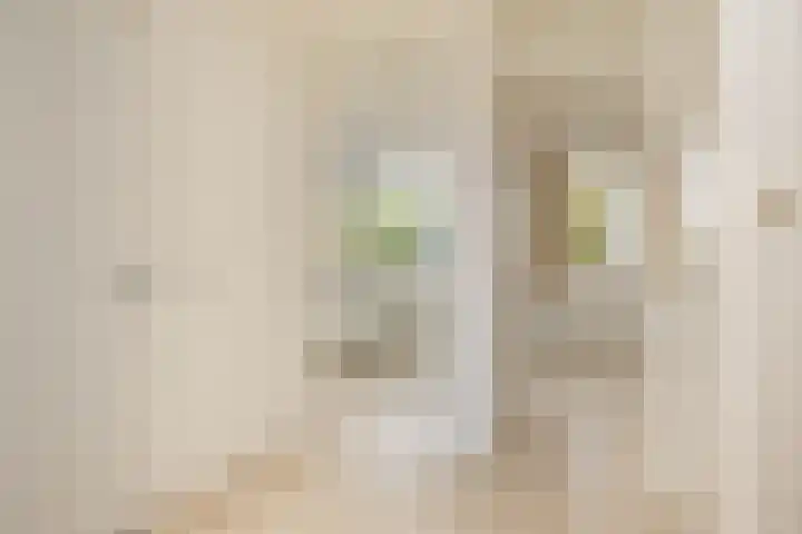 Mr. van der Brugghenstraat 17 Waalwijk thumbnail 18