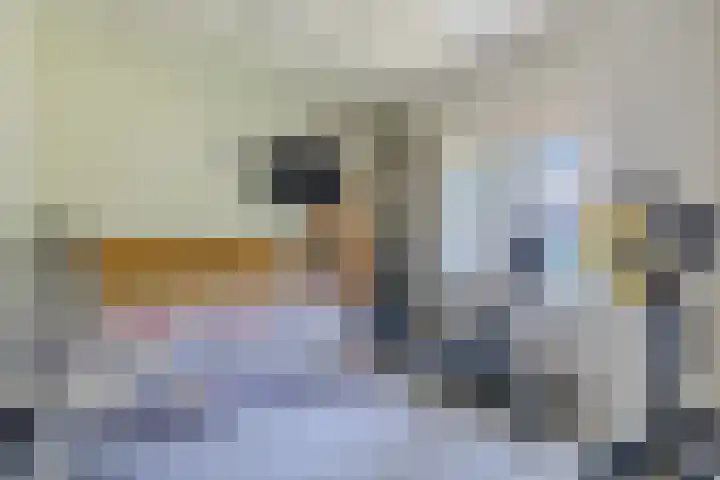 Mr. Van Hasseltlaan 22 Apeldoorn thumbnail 25