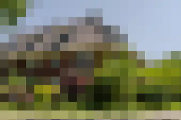 Mr. Van Hasseltlaan 22 Apeldoorn thumbnail 50