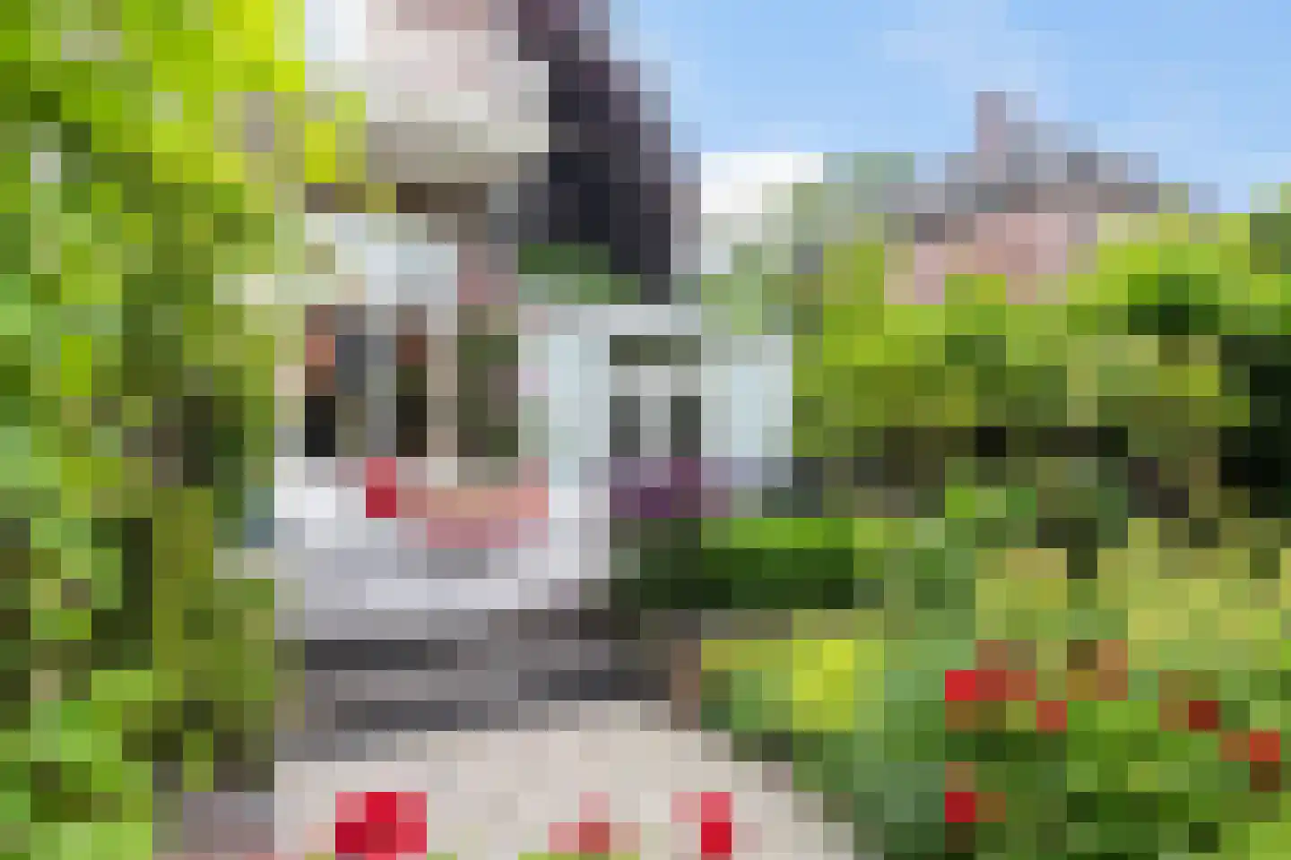 Mr. Van Hasseltlaan 27 Apeldoorn thumbnail 32