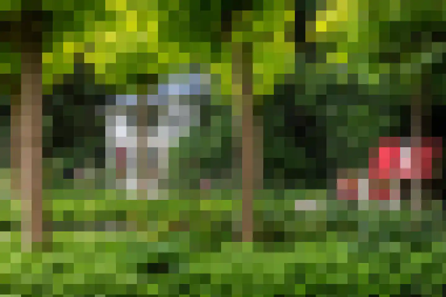 Mr. Van Hasseltlaan 27 Apeldoorn thumbnail 37
