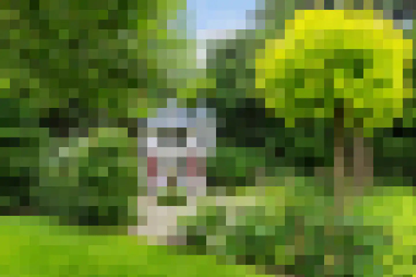Mr. Van Hasseltlaan 27 Apeldoorn thumbnail 39