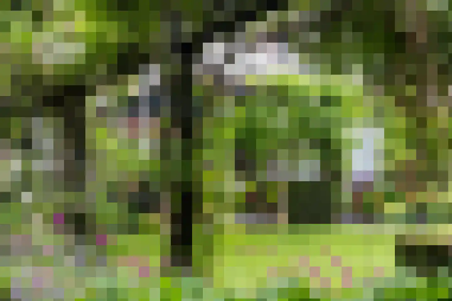 Mr. Van Hasseltlaan 27 Apeldoorn thumbnail 44