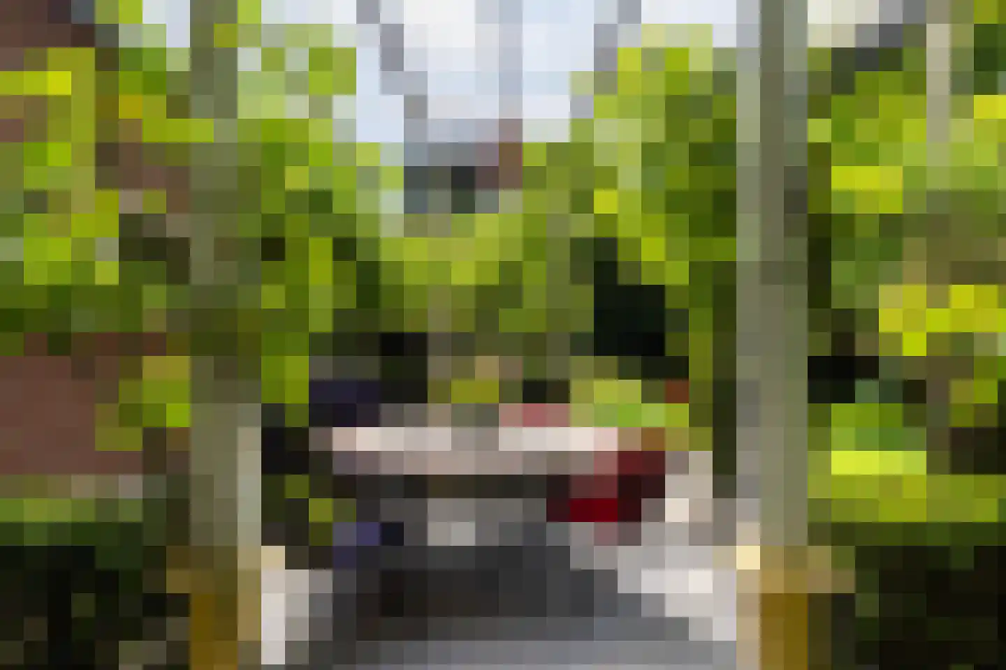 Mr. Van Hasseltlaan 27 Apeldoorn thumbnail 48