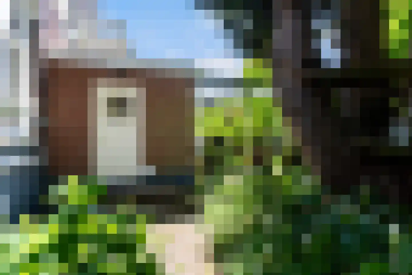Mr. Van Hasseltlaan 27 Apeldoorn thumbnail 56