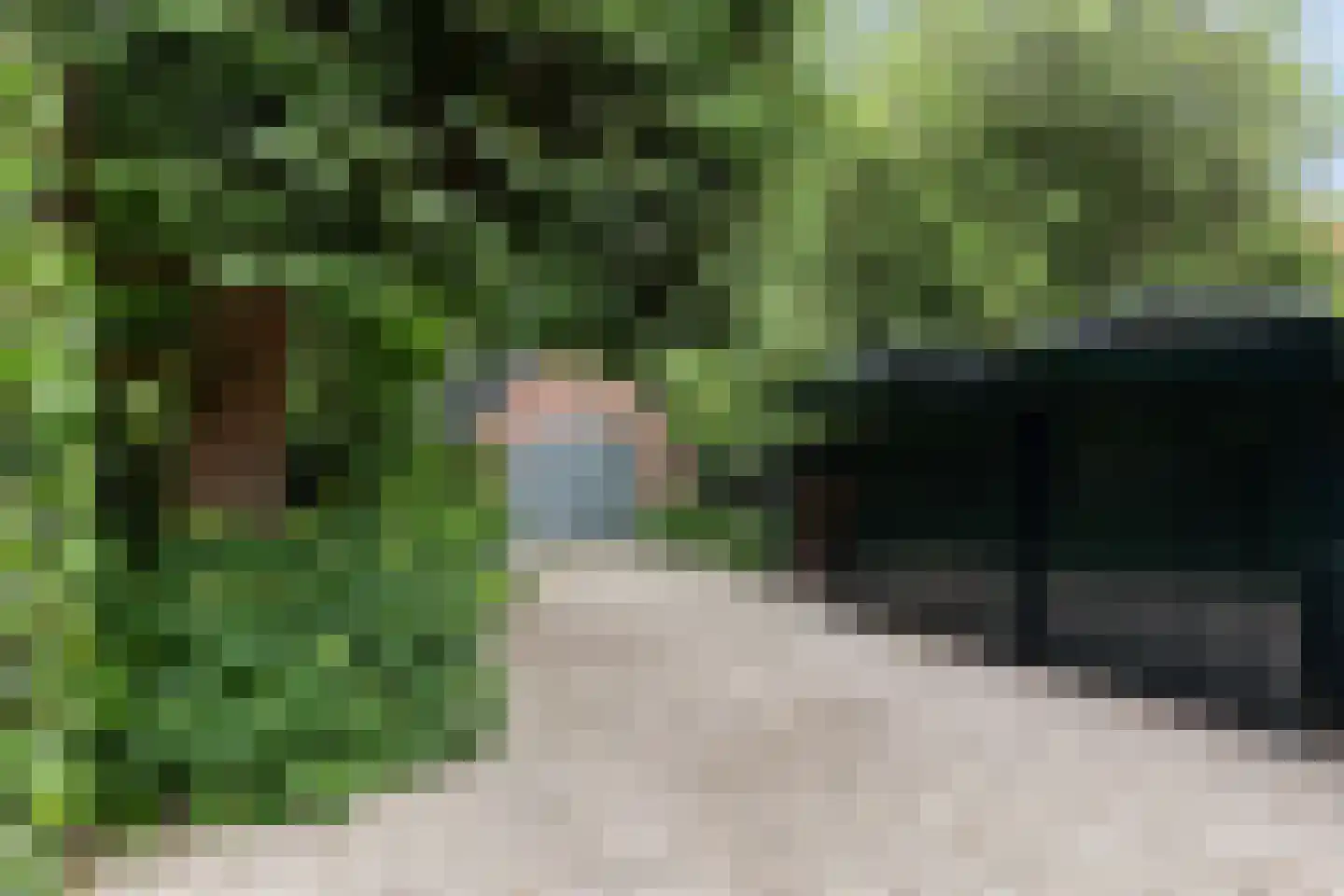 Mr. Van Hasseltlaan 27 Apeldoorn thumbnail 59