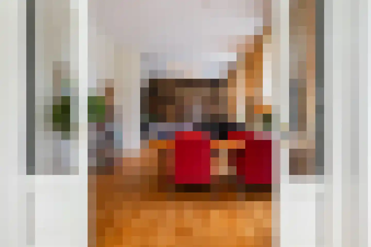 Mr. Van Hasseltlaan 27 Apeldoorn thumbnail 9