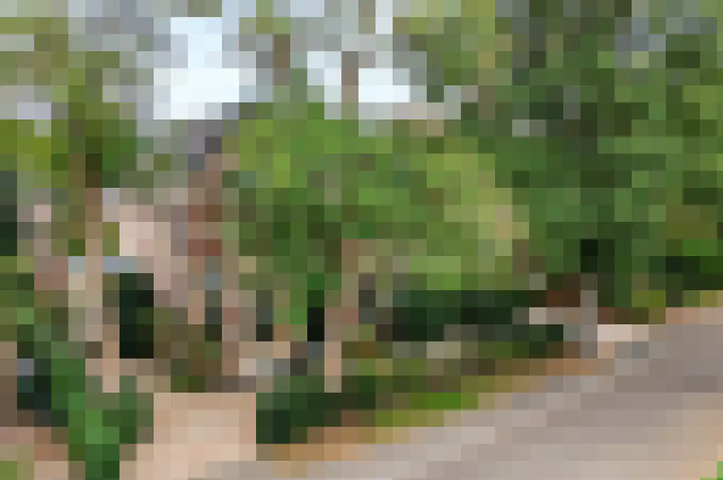 Mr. Van Hasseltlaan 7 Apeldoorn thumbnail 93