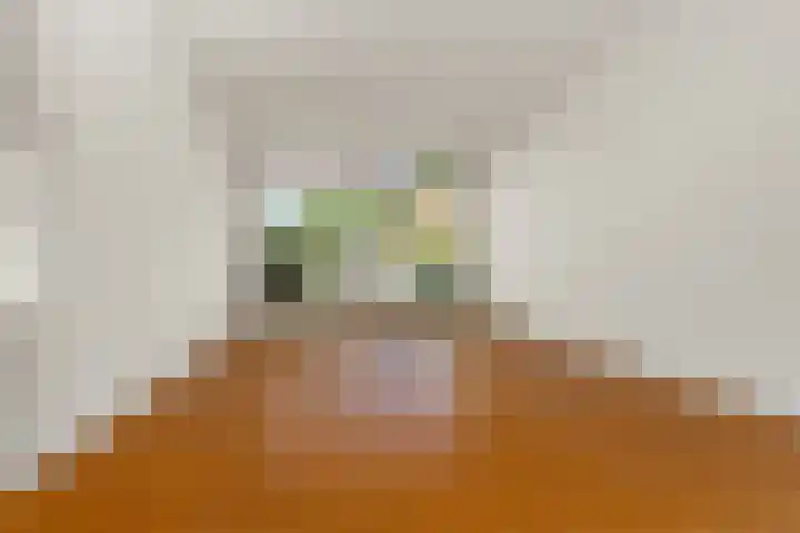 Mr. van Houtenstraat 5 Nijmegen thumbnail 15