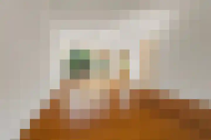 Mr. van Houtenstraat 5 Nijmegen thumbnail 5