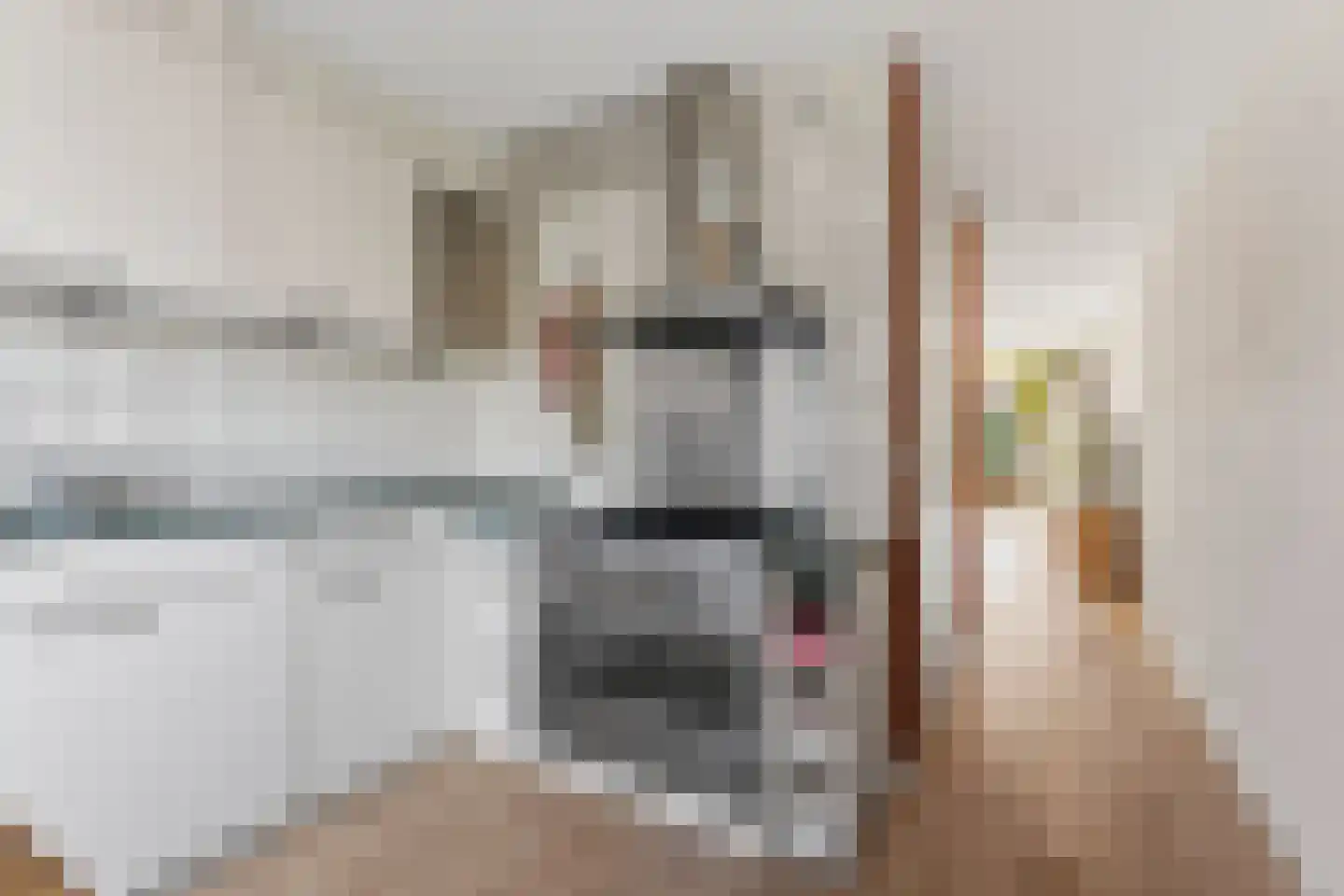 Mr. van Houtenstraat 64 Nijmegen thumbnail 21