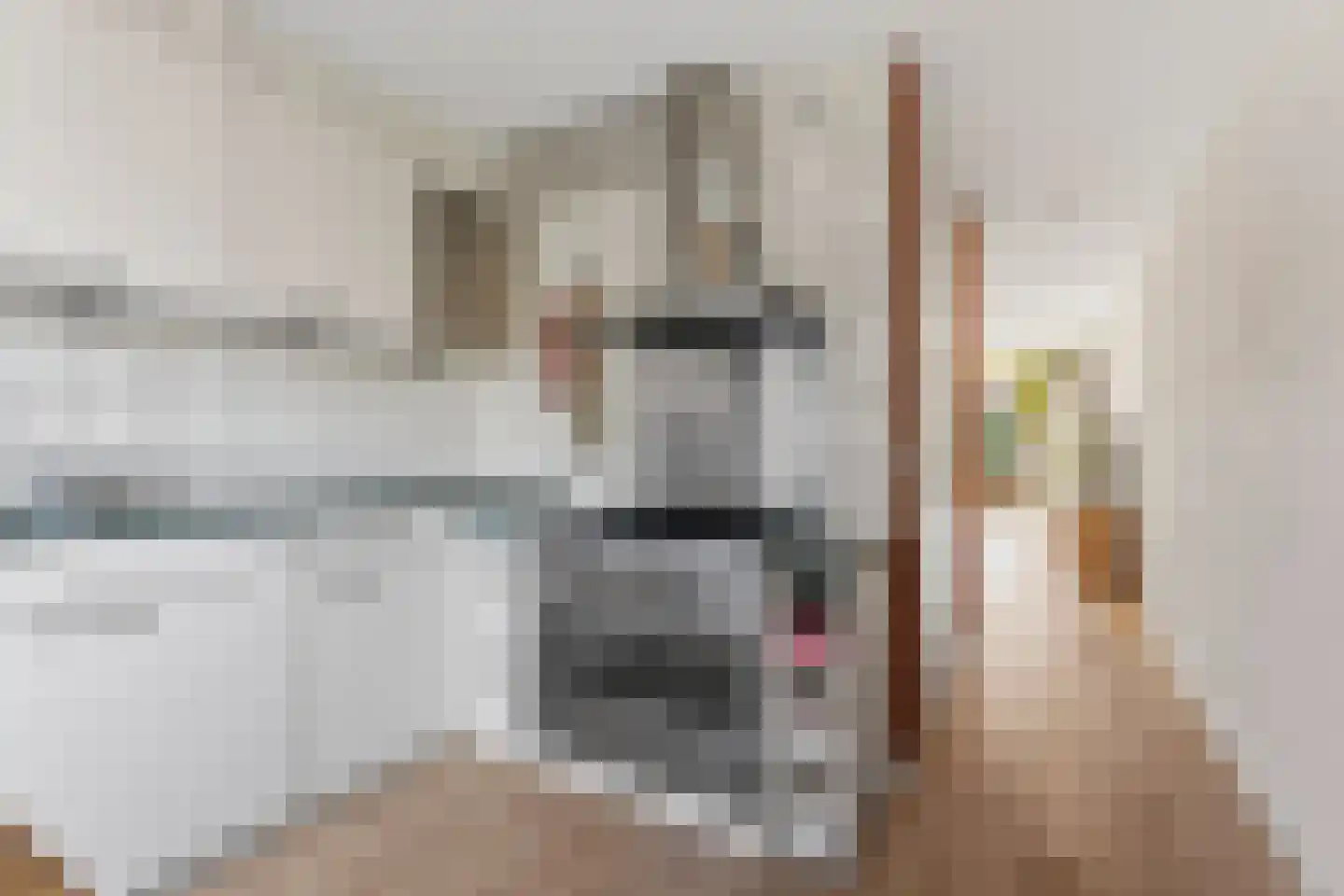 Mr. van Houtenstraat 64 Nijmegen thumbnail 21