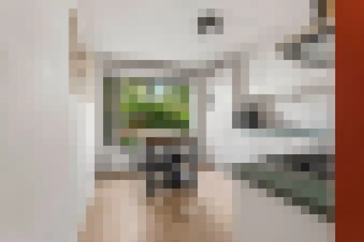 Mr. van Houtenstraat 64 Nijmegen thumbnail 4