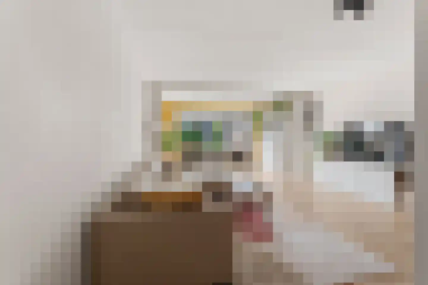 Mr. van Houtenstraat 64 Nijmegen thumbnail 9