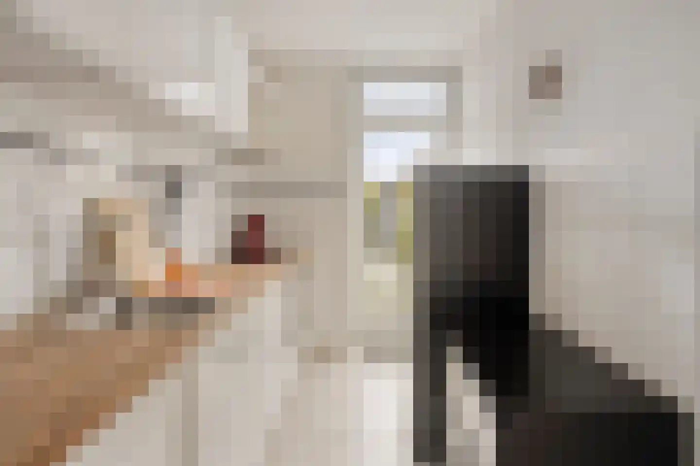 Mr. van Maanenstraat 14 Waalwijk thumbnail 12