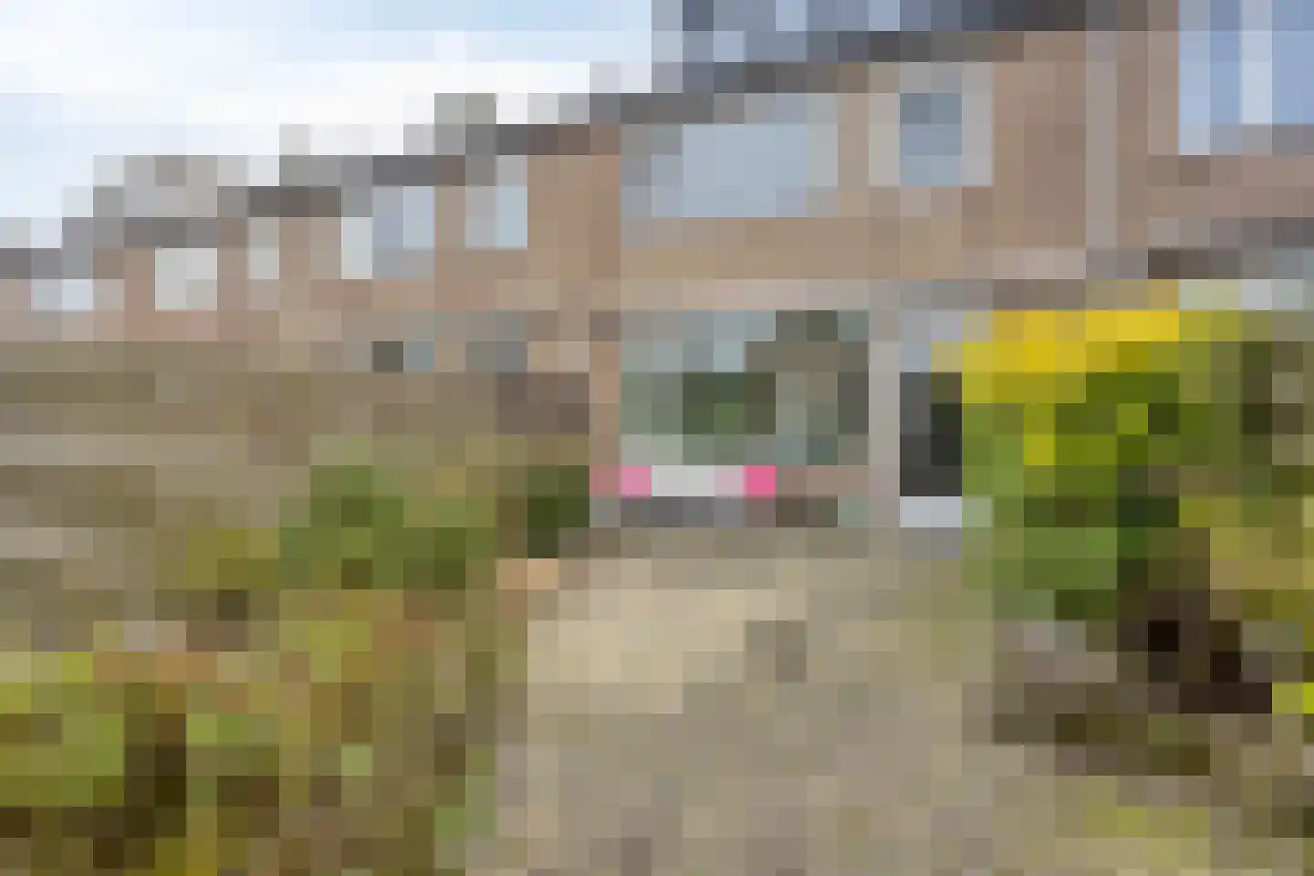 Mr. van Maanenstraat 14 Waalwijk thumbnail 4