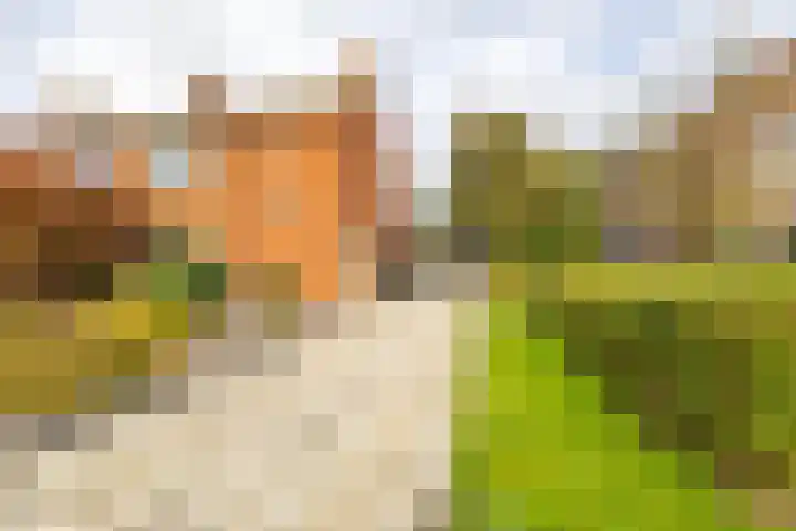 Mr Van Roijenstraat 9 Onderdendam thumbnail 5