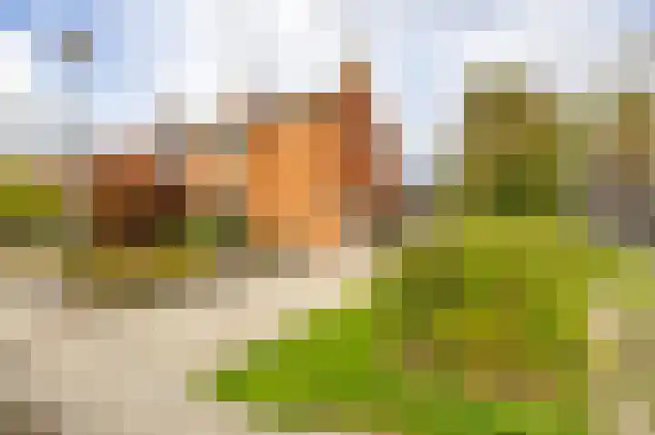 Mr Van Roijenstraat 9 Onderdendam thumbnail 7