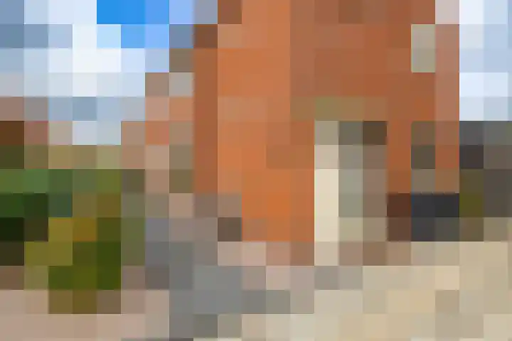 Mr Van Roijenstraat 9 Onderdendam thumbnail 8