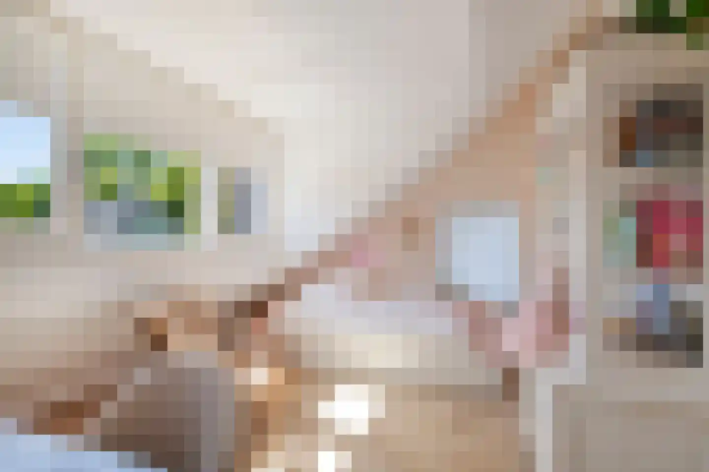 Mr. van Sonstraat 10 Oisterwijk thumbnail 36