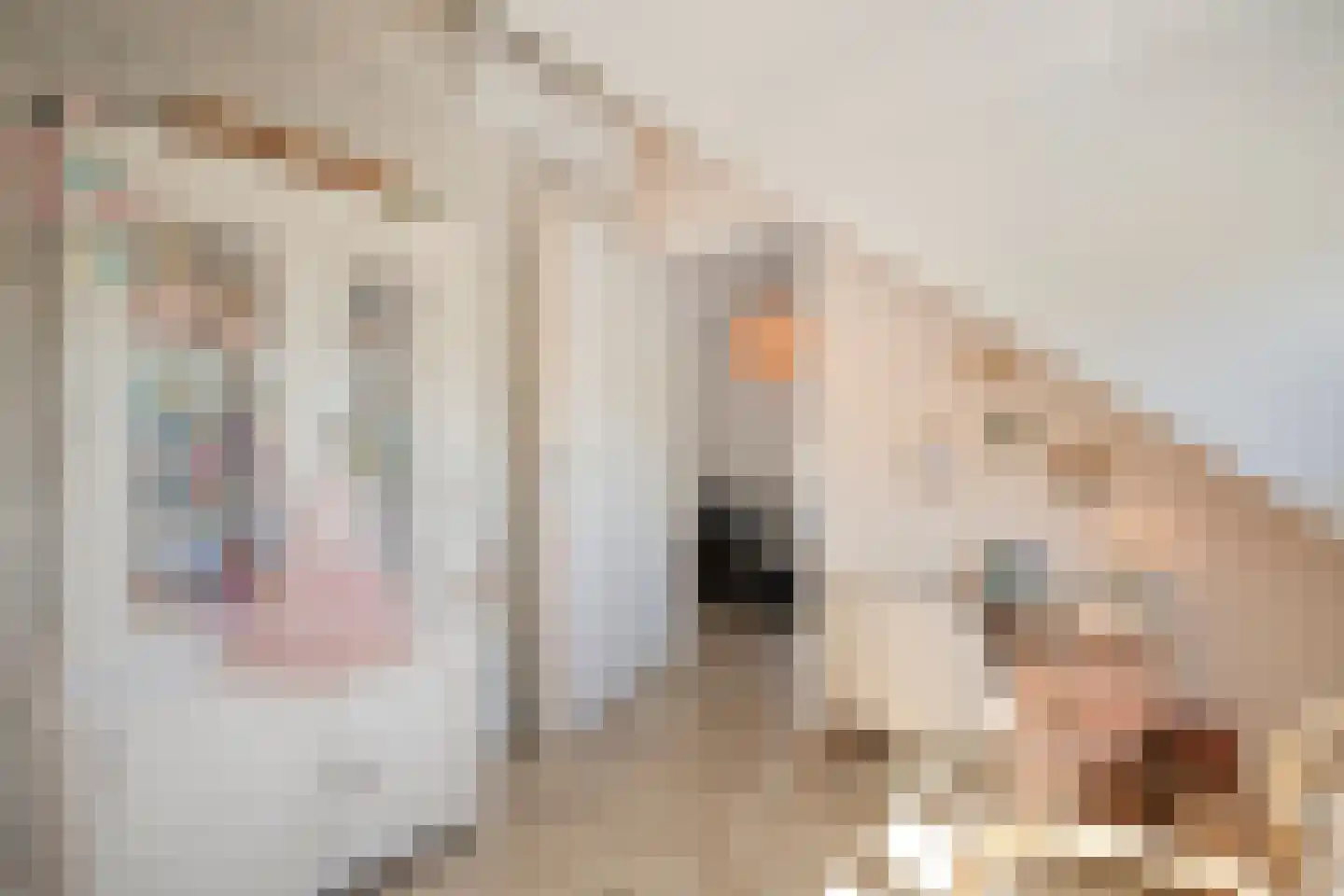 Mr. van Sonstraat 10 Oisterwijk thumbnail 37