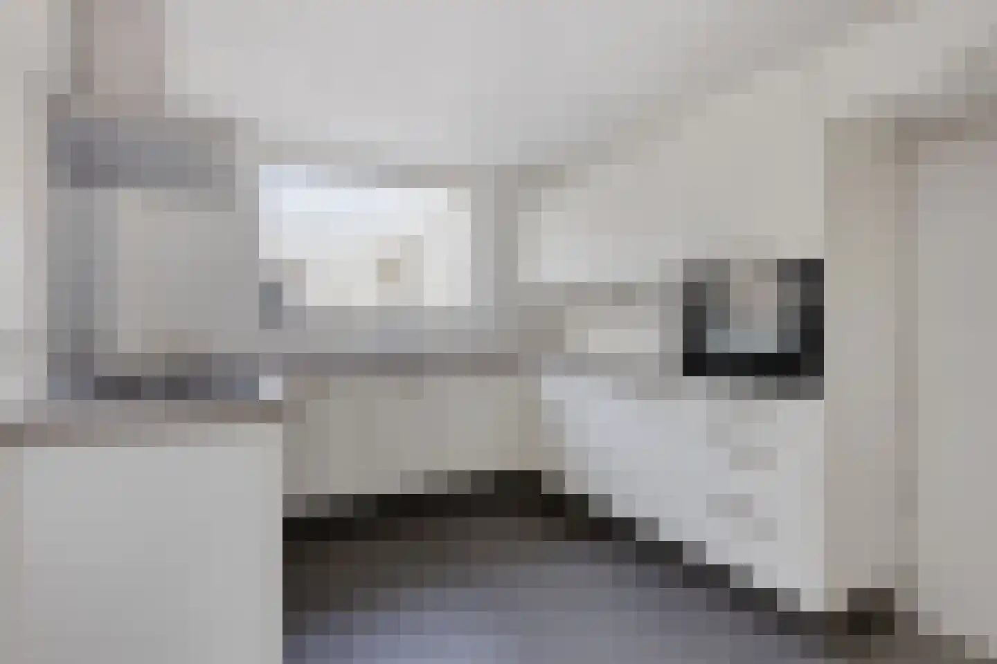 Mr. van Sonstraat 12 Oisterwijk thumbnail 15