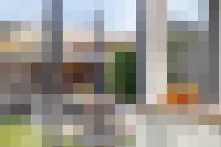 Mr. van Sonstraat 15 Valkenswaard thumbnail 18