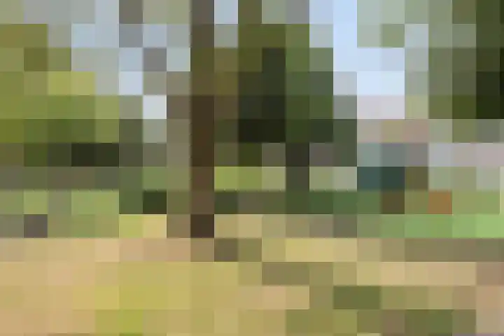 Mr. van Sonstraat 15 Valkenswaard thumbnail 30