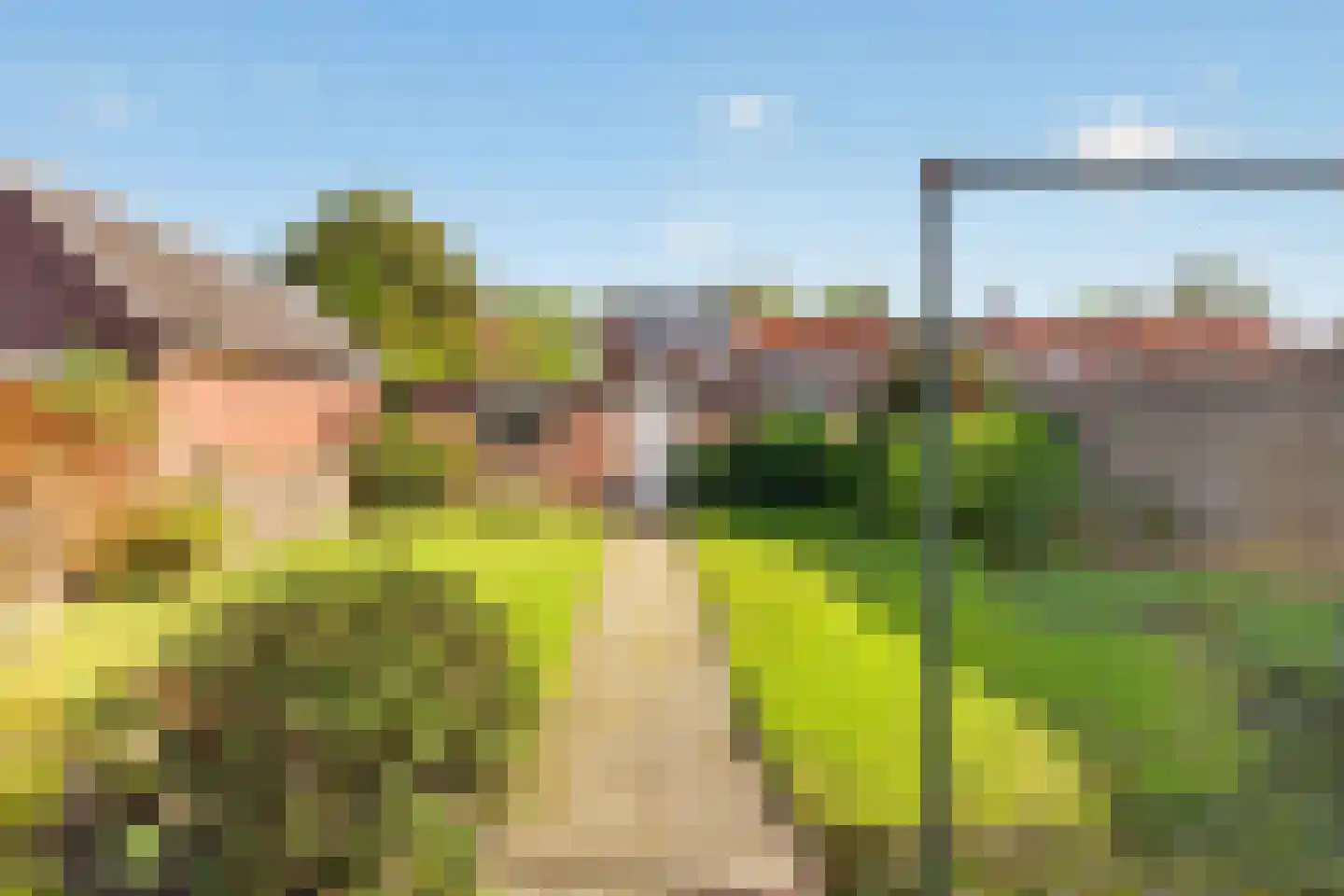 Mr. van Sonstraat 16 Valkenswaard thumbnail 19