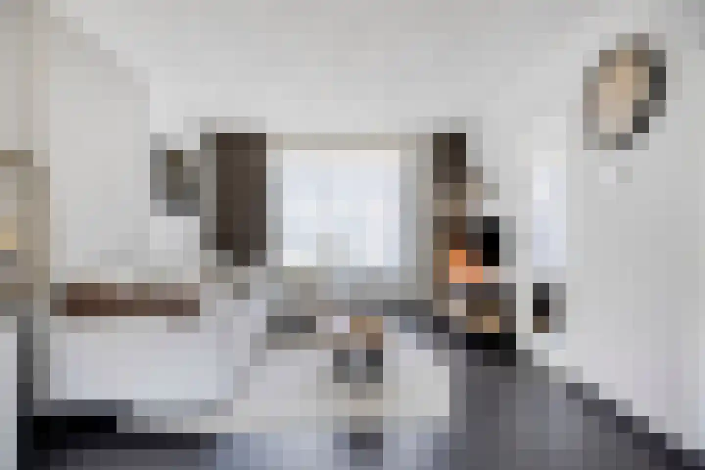 Mr. van Sonstraat 9 Valkenswaard thumbnail 7