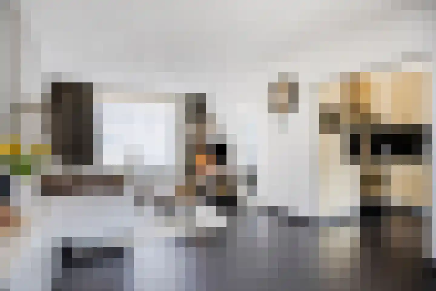 Mr. van Sonstraat 9 Valkenswaard thumbnail 8