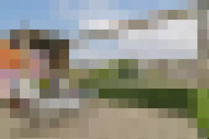 mr. Verschuurstraat 23 Vlaardingen thumbnail 36