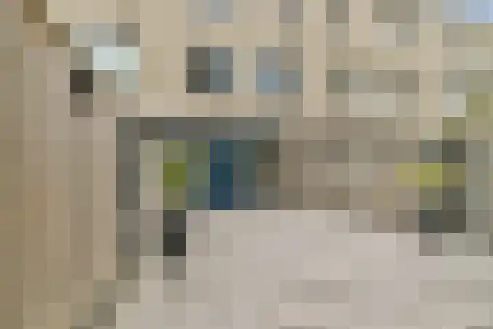 mr. Verschuurstraat 33 Vlaardingen thumbnail 33