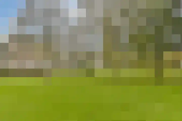 mr. Verschuurstraat 33 Vlaardingen thumbnail 37