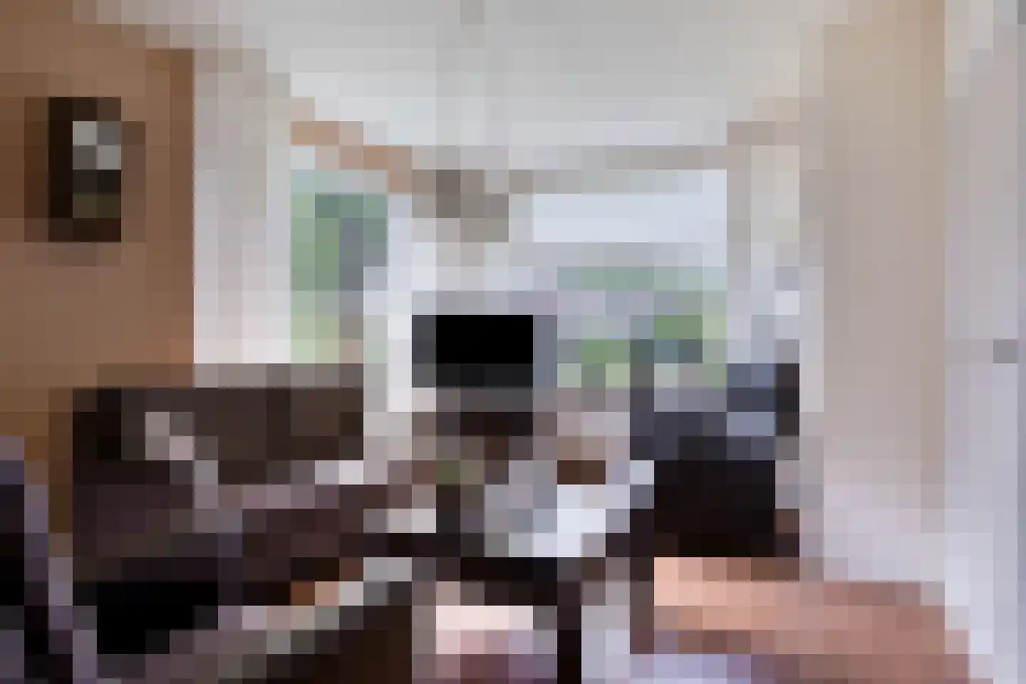 Mr Verwerstraat 11 Oosterwolde thumbnail 7