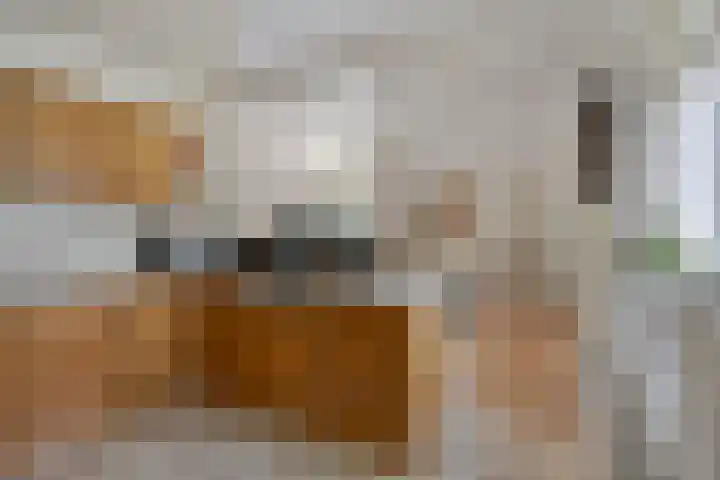 Mr Verwerstraat 8 Oosterwolde thumbnail 17