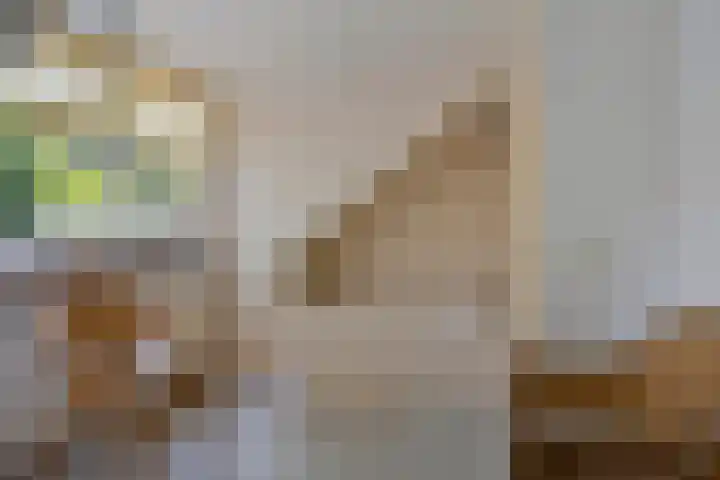 Mr Verwerstraat 8 Oosterwolde thumbnail 37
