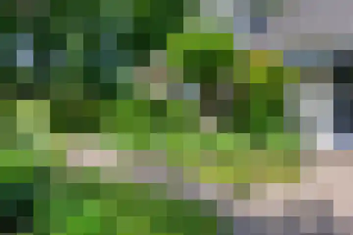 Mr Verwerstraat 8 Oosterwolde thumbnail 5