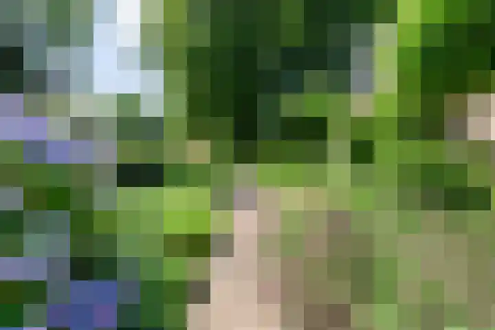 Mr Verwerstraat 8 Oosterwolde thumbnail 6