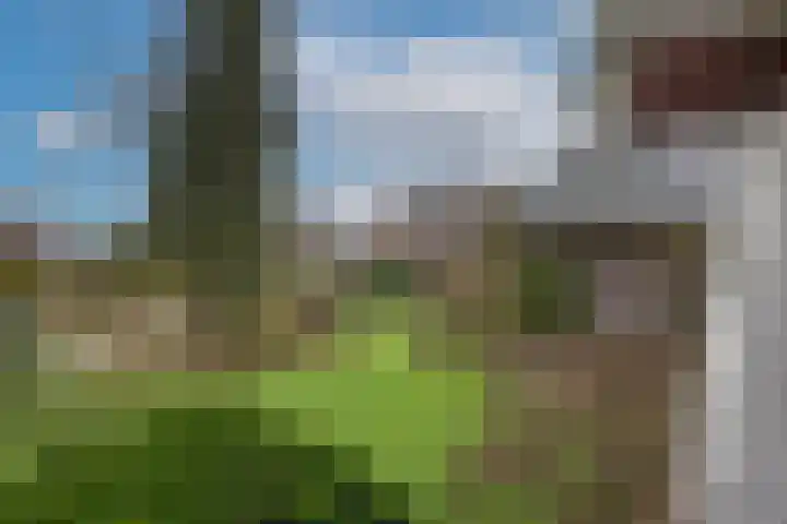 Mr Visserstraat 8 Delden thumbnail 7