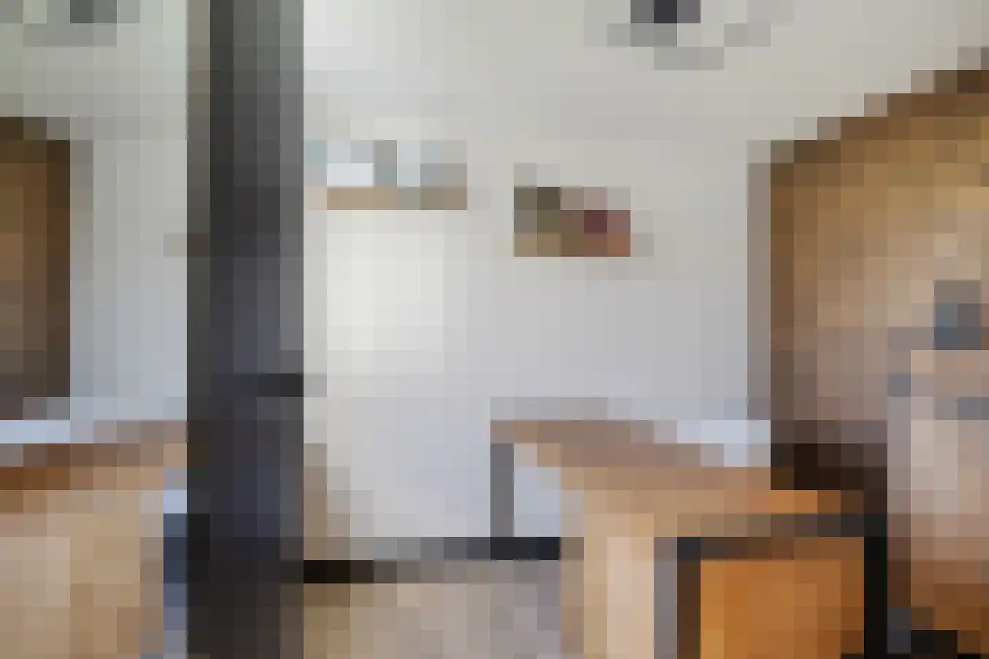 Mr. W.M. Oppedijk van Veenweg 12 Burgum thumbnail 30
