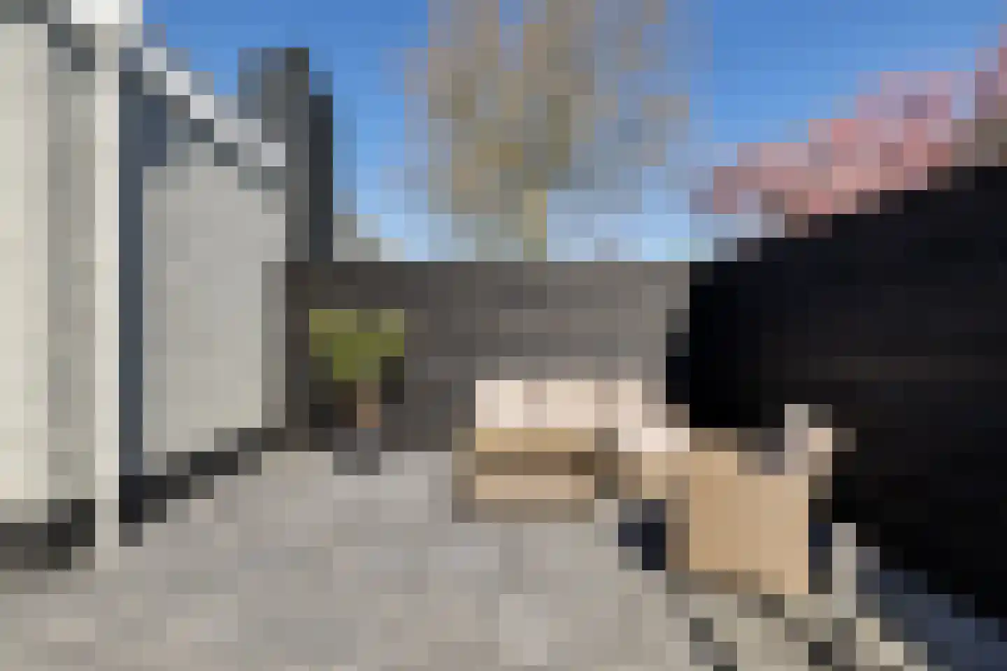 Mr. W.M. Oppedijk van Veenweg 12 Burgum thumbnail 39