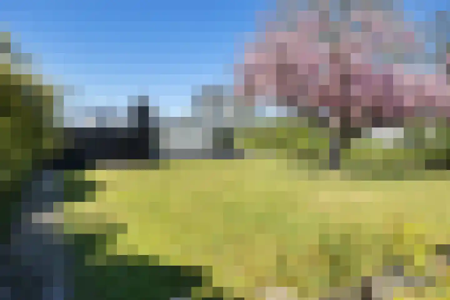 Mr. W.M. Oppedijk van Veenweg 12 Burgum thumbnail 47