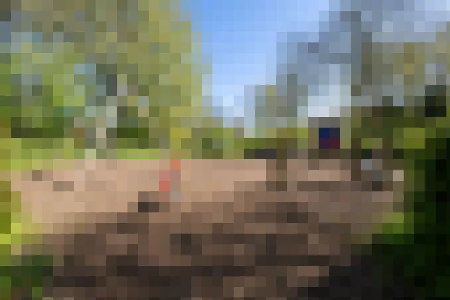 Mr. W.M. Oppedijk van Veenweg 12 Burgum thumbnail 52