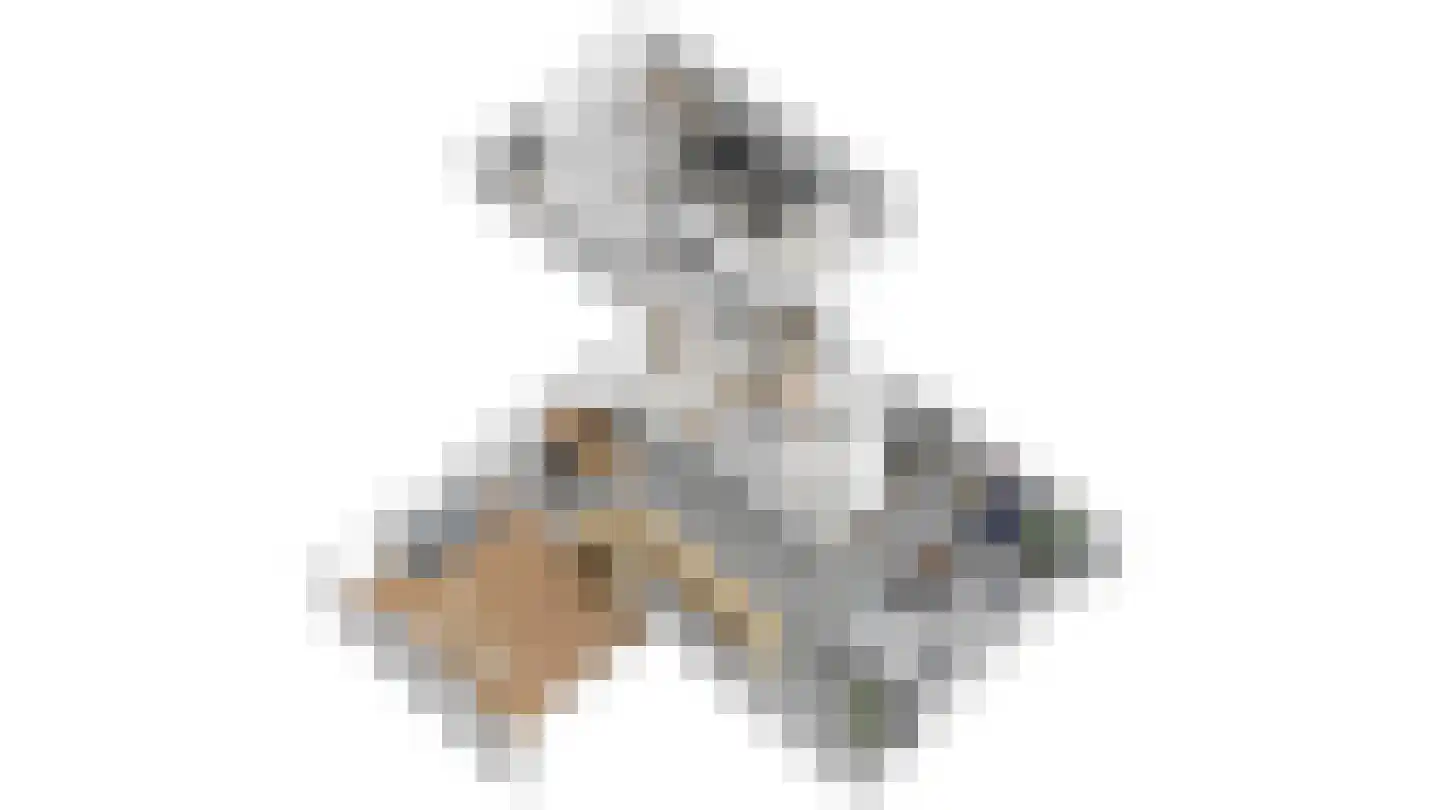 Mr. W.M. Oppedijk van Veenweg 17 Burgum thumbnail 23