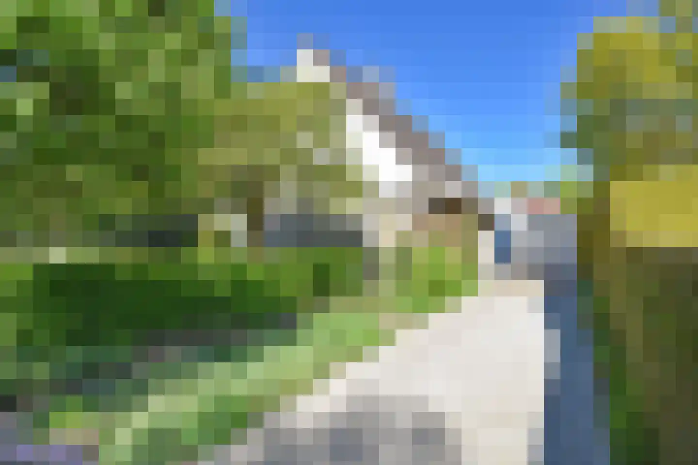 Mr. W.M. Oppedijk van Veenweg 17 Burgum thumbnail 6