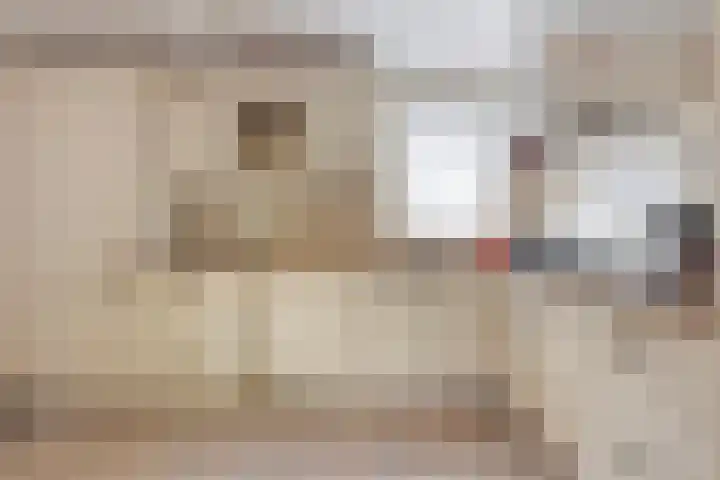 Mr. W.M. Oppedijk van Veenweg 66 Burgum thumbnail 12