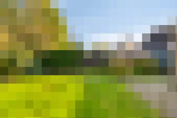 Mr. W.M. Oppedijk van Veenweg 66 Burgum thumbnail 32