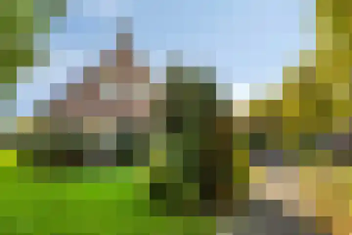 Mr. W.M. Oppedijk van Veenweg 66 Burgum thumbnail 34