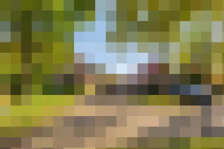 Mr. W.M. Oppedijk van Veenweg 66 Burgum thumbnail 35